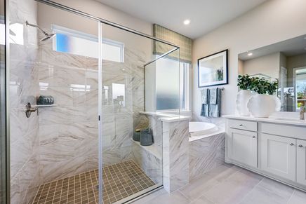 Primary Bath (1)