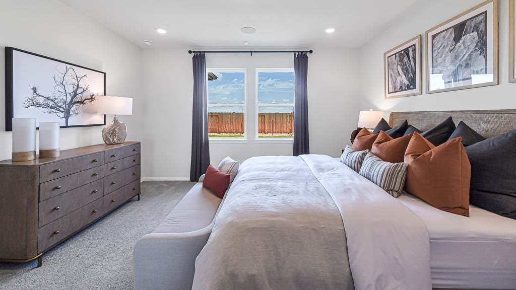 50-TM Hockley Model Verbena int-20240627