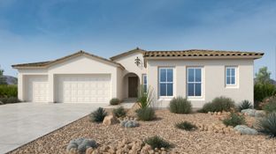Catalina - Verdin Summit Collection: Phoenix, Arizona - Taylor Morrison