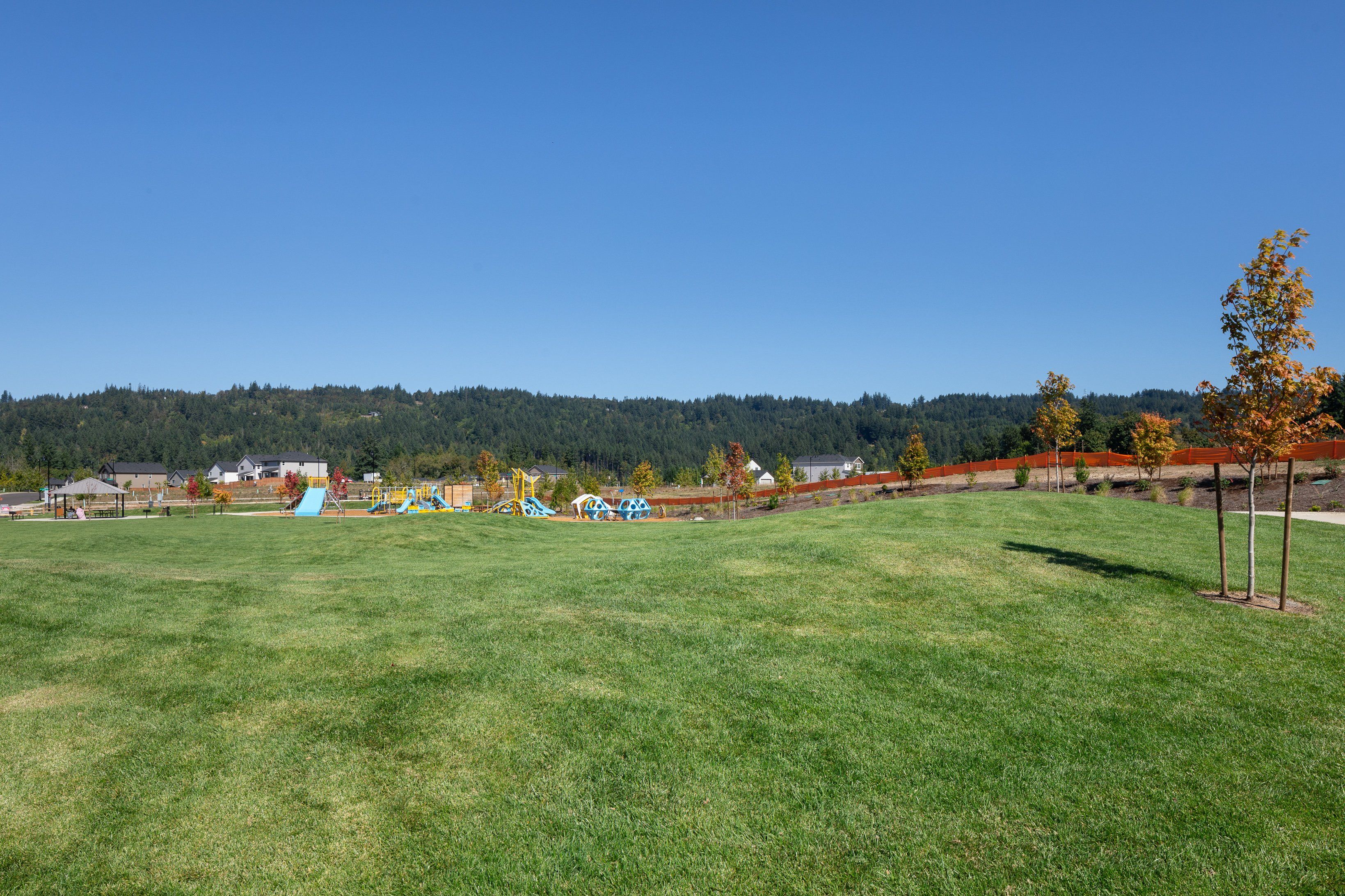 Community Park Open Area