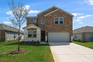 Verbena - River Ridge: Crandall, Texas - Taylor Morrison