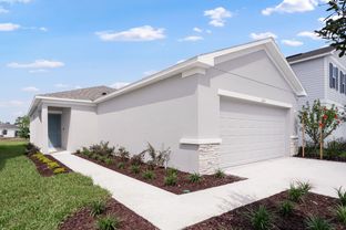 Holly - Marion Creek: Haines City, Florida - Taylor Morrison