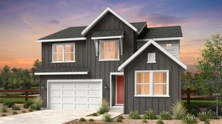 Palisade - Macanta City Collection: Castle Rock, Colorado - Taylor Morrison