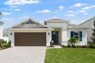 Saint Thomas - Ardisia Park: New Smyrna Beach, Florida - Taylor Morrison