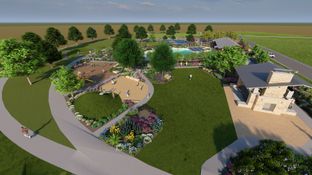 Saffron - South Oak 50s: Oak Point, Texas - Taylor Morrison