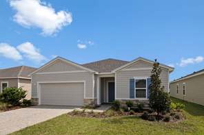 8136 Archibald Terrace (Ficus)