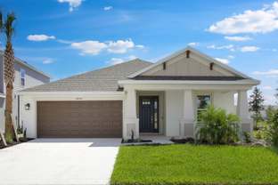 Saint Thomas - Firethorn: Parrish, Florida - Taylor Morrison