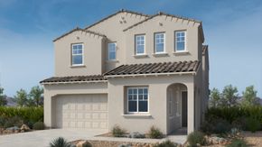 Verdin Discovery Collection - Phoenix, AZ