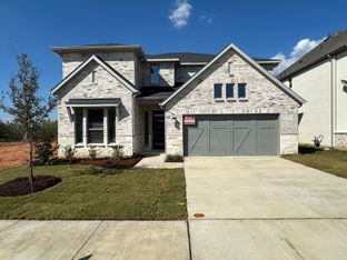 Saffron - South Oak 50s: Oak Point, Texas - Taylor Morrison