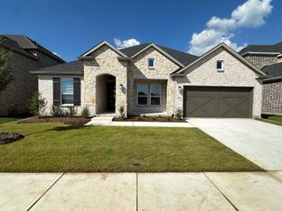 Pewter - South Oak 60s: Oak Point, Texas - Taylor Morrison