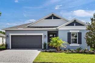 Grenada - Ardisia Park: New Smyrna Beach, Florida - Taylor Morrison