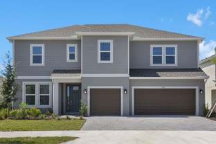 Palm - Ardisia Park: New Smyrna Beach, Florida - Taylor Morrison