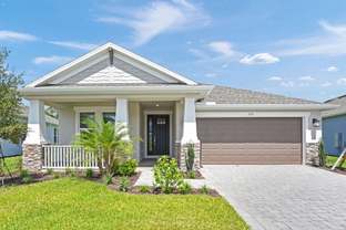 Saint Thomas - Ardisia Park: New Smyrna Beach, Florida - Taylor Morrison
