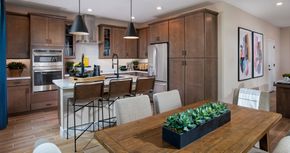 Aster at Union Park by New Home Co. in Phoenix-Mesa Arizona