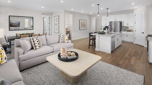 Plan 4002 - Teravalis: Buckeye, Arizona - New Home Co.