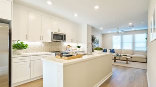 Plan 4 - Centro: Whittier, California - New Home Co.