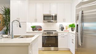 Plan 3 - Centro: Whittier, California - New Home Co.