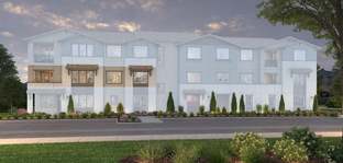 Plan 5 - Eastvale Square: Eastvale, California - New Home Co.