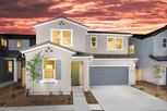 Long Meadow - Elk Grove, CA