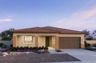 Plan 4503 - The Estates at Frontera: Surprise, Arizona - New Home Co.