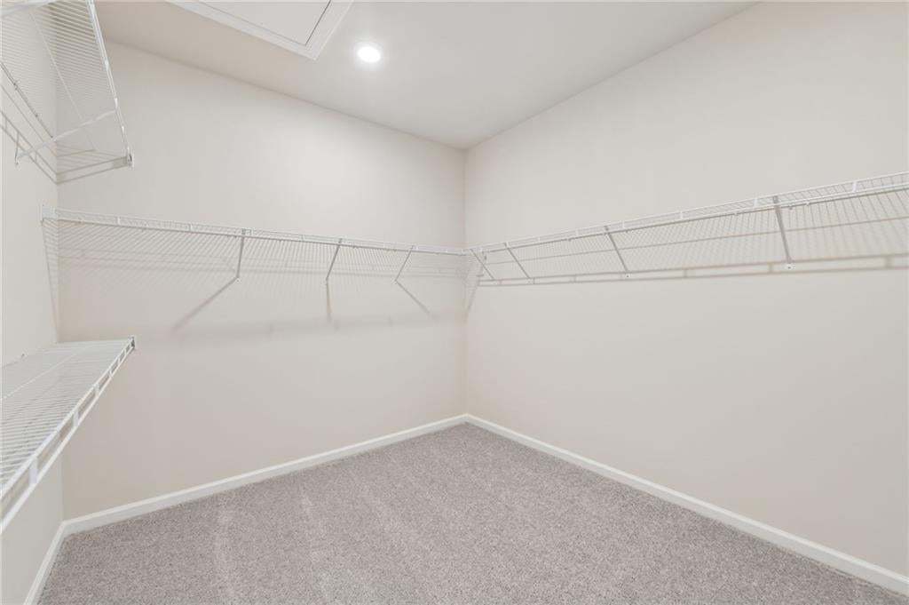 Walk-in closet with carpet flooring, white walls, built-in wire shelving, and a recessed ceiling light