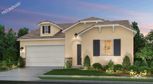 Home in The Oasis by Tim Lewis Communities