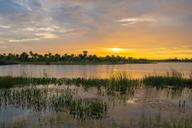 Oakbend Wellen Park por Toll Brothers en Sarasota-Bradenton Florida
