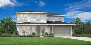 1865 W Blue Lightning St (Paisley)