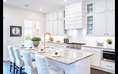 Regency at Esperanza - Sardana Collection: Boerne, Texas - Toll Brothers