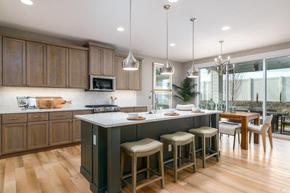 Silver Star - Woodland by Toll Brothers in Boise Idaho