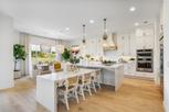 Toll Brothers at Hosford Farms - Vista Collection - Portland, OR