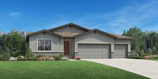 Ellingwood Craftsman - Revel at Wolf Ranch: Colorado Springs, Colorado - Toll Brothers