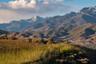 casa en Toll Brothers at Wildflower por Toll Brothers