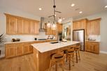 Home in Regency at Milestone Ranch - Orchard by Toll Brothers