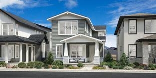 Dalby - Edge at Wolf Ranch: Colorado Springs, Colorado - Toll Brothers