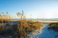 Toll Brothers at Ingram Dunes por Toll Brothers en Myrtle Beach South Carolina