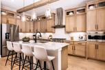 Toll Brothers at Mayfair - Guadalupe Collection - New Braunfels, TX