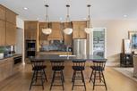 Vista Ridge - The Meadows Collection - Woodstock, GA