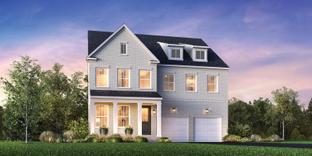 Donegal - Tomlinson Pointe - Carlow Collection: Mount Juliet, Tennessee - Toll Brothers