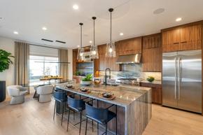 Toll Brothers at River Terrace - Spring Collection - Tigard, OR