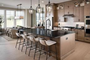 Toll Brothers at Lakeview - Alpharetta, GA