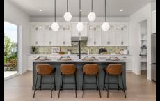 Passero Ridge - Willow: Caldwell, Idaho - Toll Brothers