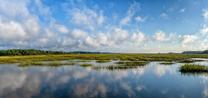 Sanderling Bay por Toll Brothers en Myrtle Beach South Carolina