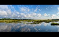 Sanderling Bay: Pawleys Island, South Carolina - Toll Brothers
