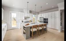 Rowan Walk - Birch Collection: Smyrna, Georgia - Toll Brothers