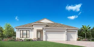 Dune - Montrose at Innisbrook - Torrance Collection: Palm Harbor, Florida - Toll Brothers