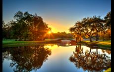 Montrose at Innisbrook - Highbridge Collection: Palm Harbor, Florida - Toll Brothers