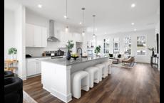 Nolyn Pointe - Bungalows Collection: Atlanta, Georgia - Toll Brothers