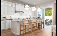 The Oaks North - Willow: Meridian, Idaho - Toll Brothers