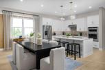 Montrose at Innisbrook - Highbridge Collection - Palm Harbor, FL